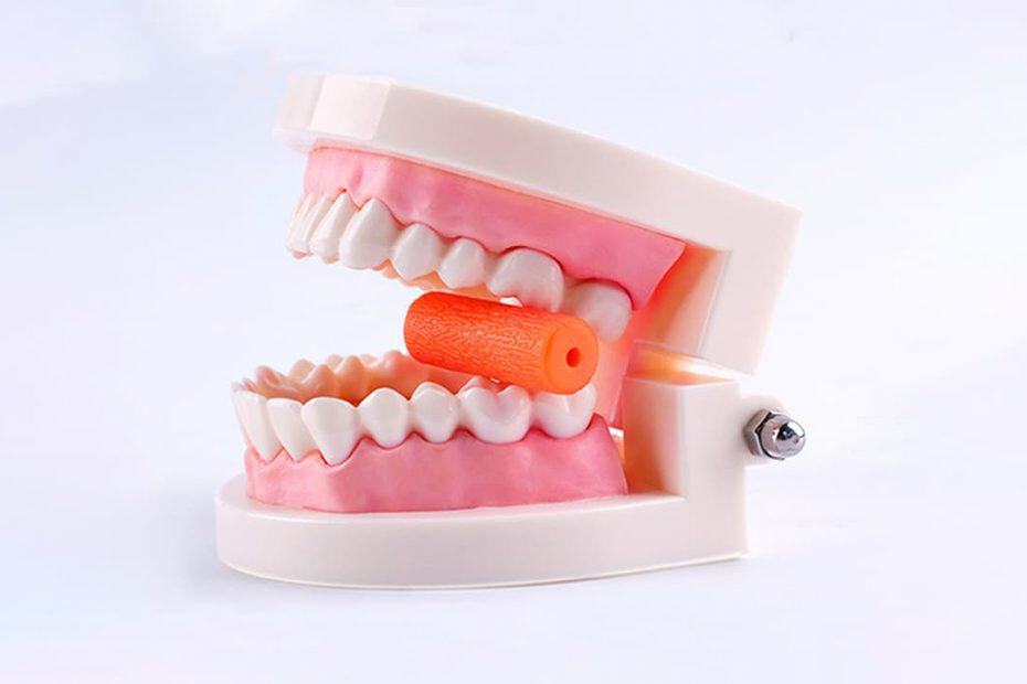 Teeth Model